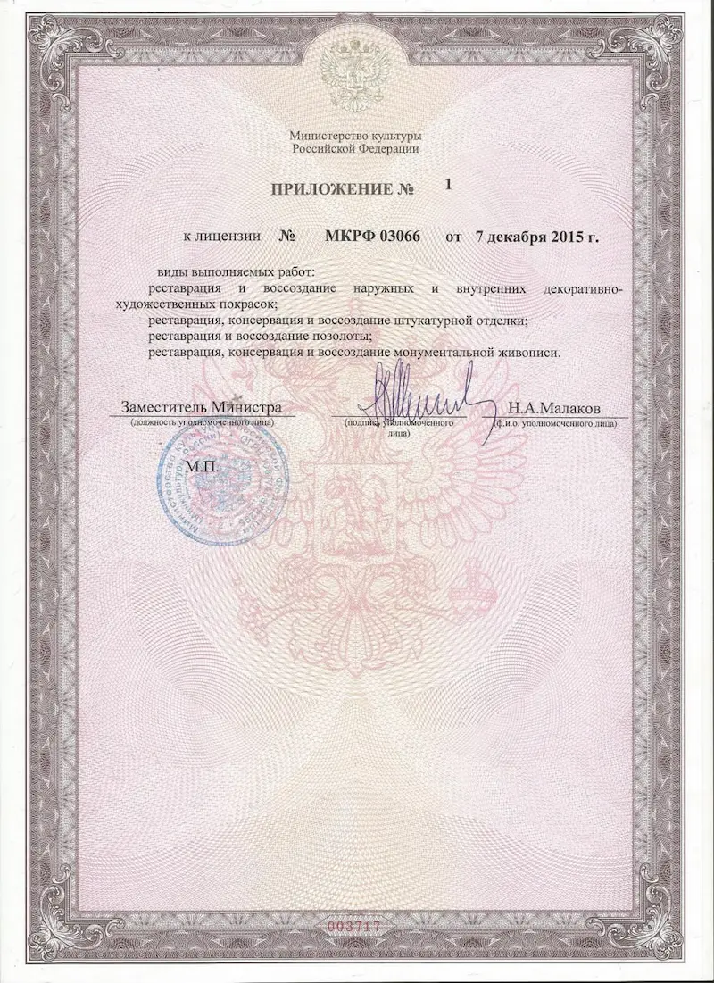 Лицензия Фото 3